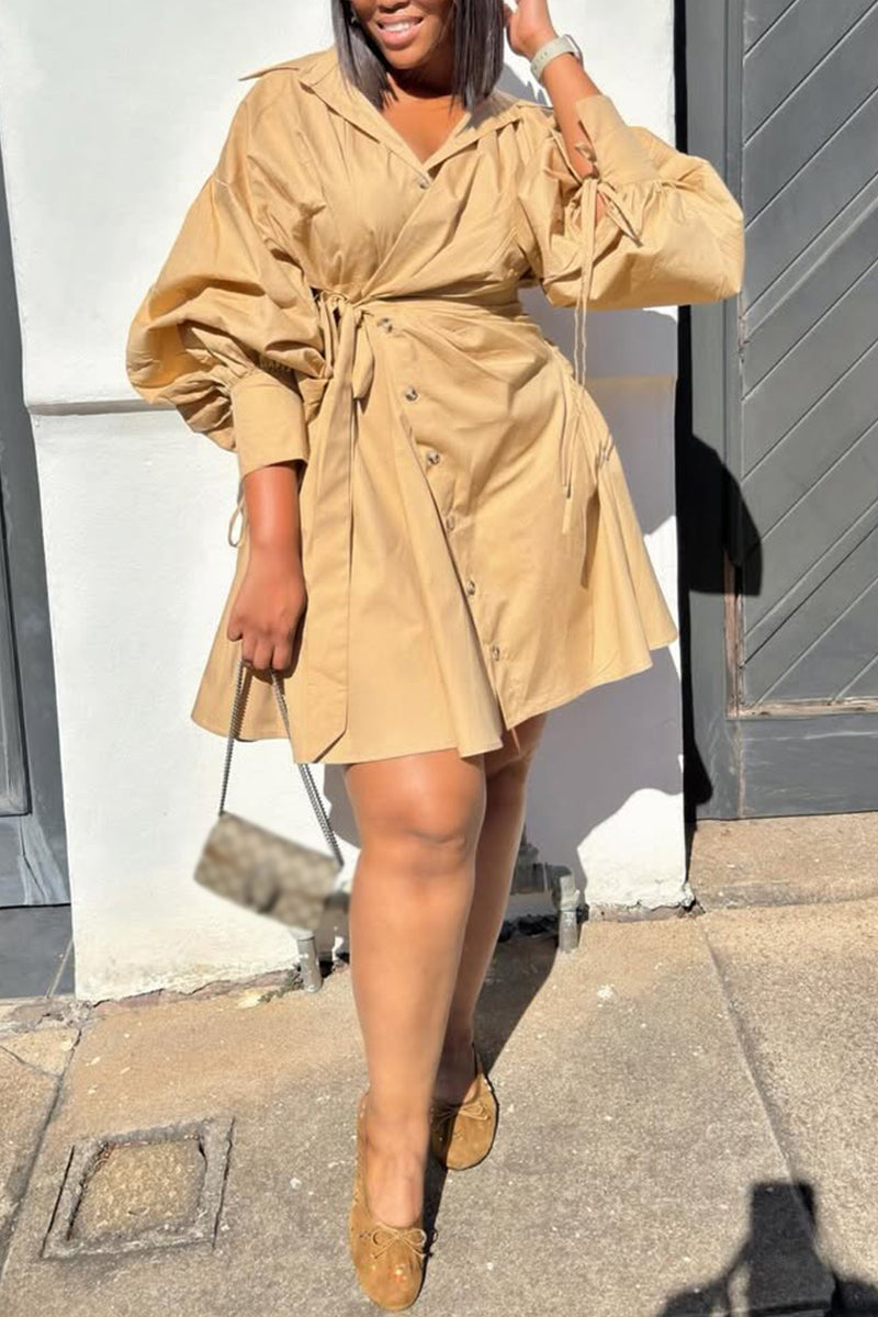 Women Elegant Casual Dress with A Lapel and Button-down Design and A Fitted Waist