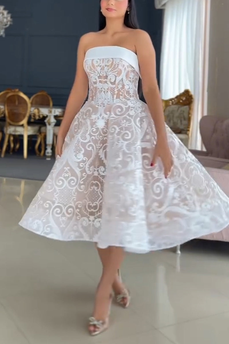 Women's Elegant A Line Hem Lace Bustier Dress
