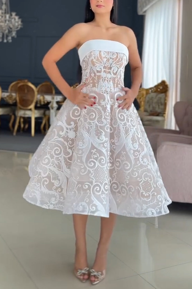 Women's Elegant A Line Hem Lace Bustier Dress